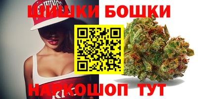 индика Пушкино