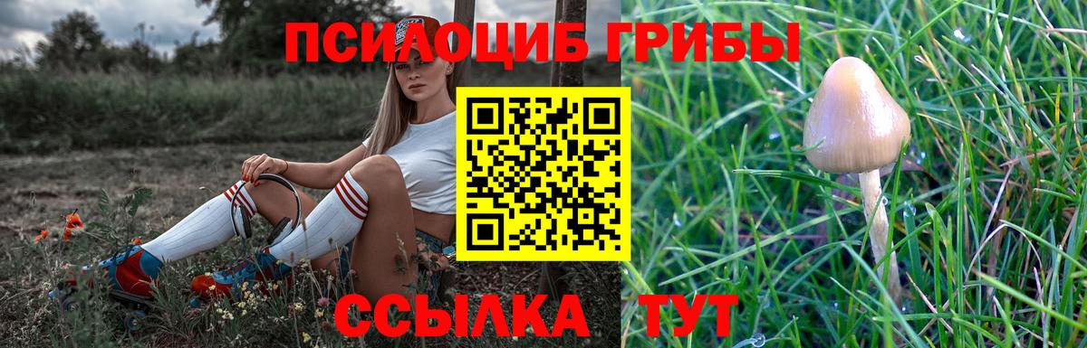наркотики  Галлюциногенные грибы Psilocybine cubensis  Партизанск  Вход с VPN  Псилоцибиновые грибы Magic Shrooms 