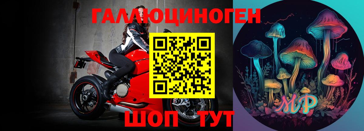 Псилоцибиновые грибы мухоморы Партизанск